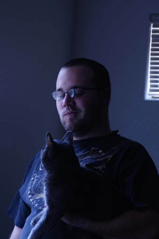 joeyandwaffles window light